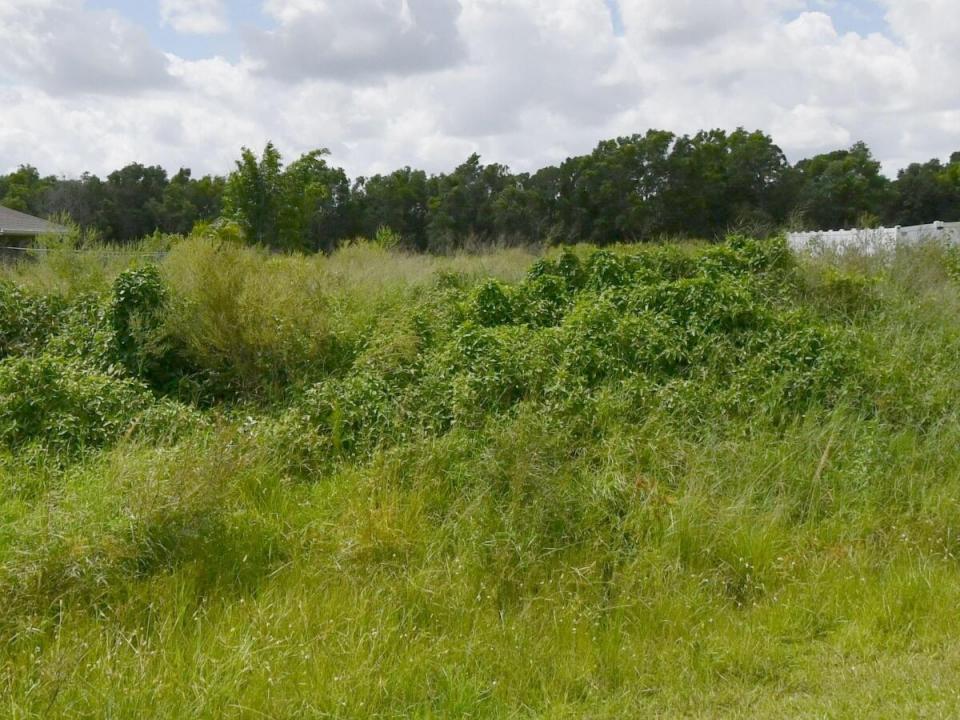 5382 NW West Paden Circle, Port Saint Lucie, Florida 34986