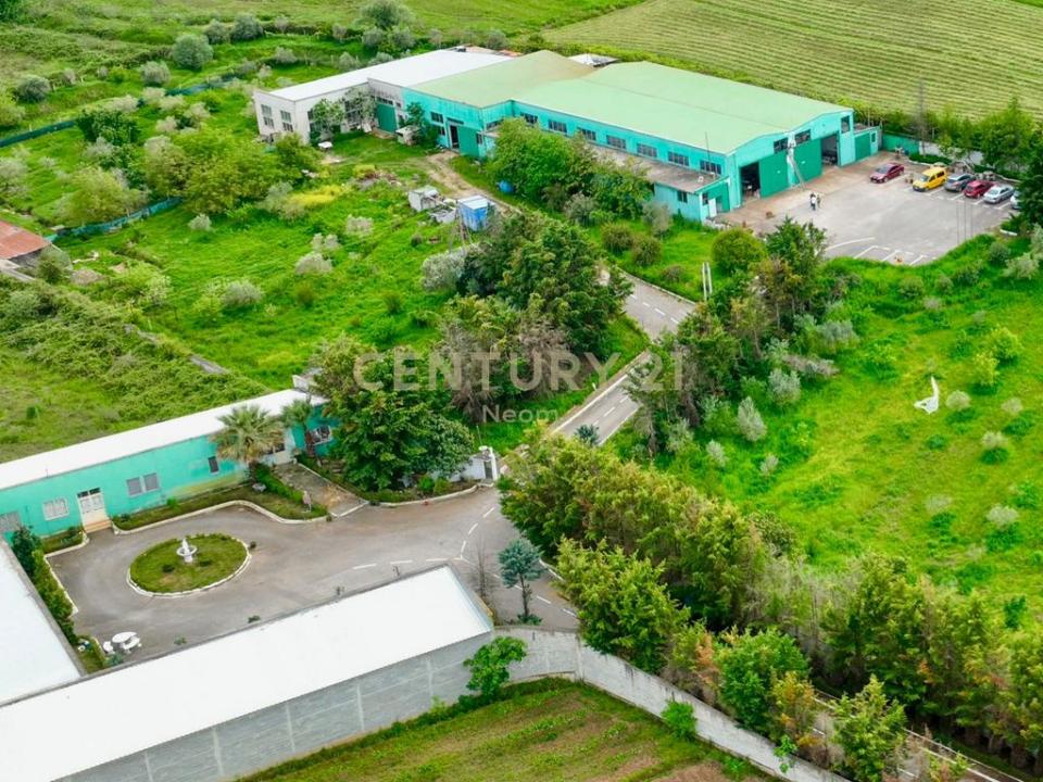 Periferia Fier, Fier, Arnavutluk