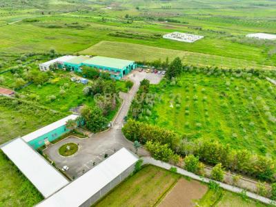 Periferia Fier, Fier, Arnavutluk