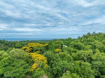 , Uvita Bahía Ballena Osa, Puntarenas 00001, 코스타리카