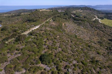 Knysna, Western Cape, Republika Południowej Afryki
