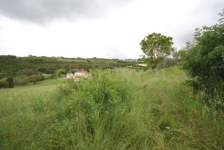 Località La Cana, Grezzana, Veneto 37023, Italia