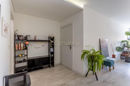 Aveiro, Aveiro 3800-235, Portugal