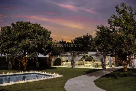 Figueira Da Foz, Coimbra 3090-495, Portugal