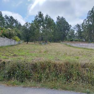 Soure, 코임브라 3130-531, 포르투갈