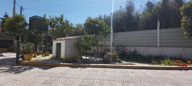 Évora, Évora 7005-341, Portugal