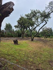 Puembo, Sector la Palma Polo Club s/n, Quito, Pichincha 00001, Ecuador