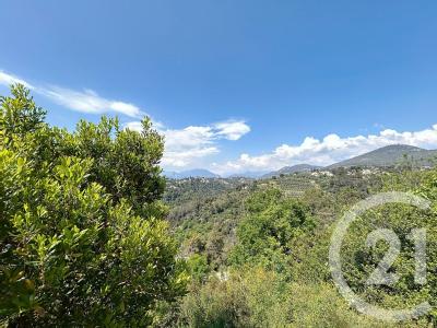 Nice, Provence-Alpes-Côte d'Azur 06000, France