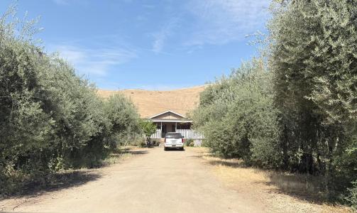 36189 Road 196, Woodlake, California 93286, USA