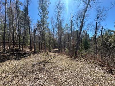 80AC off Razorback Rd, Conover, Wisconsin 54519, USA