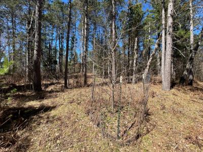 80AC off Razorback Rd, Conover, 威斯康辛州 54519, 美国