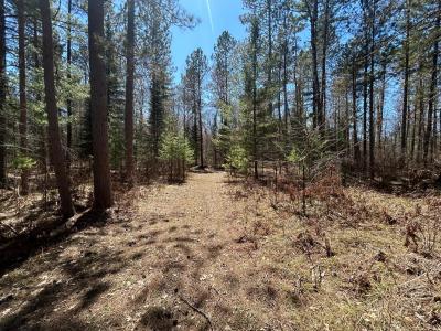80AC off Razorback Rd, Conover, 威斯康辛州 54519, 美国