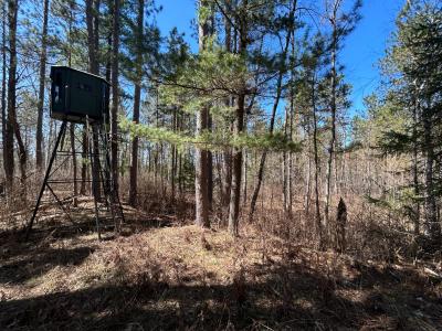 80AC off Razorback Rd, Conover, 威斯康辛州 54519, 美国