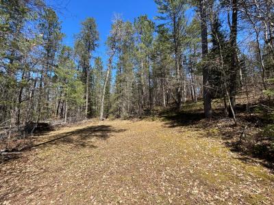 80AC off Razorback Rd, Conover, 威斯康辛州 54519, 美国