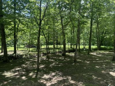 267 MIsty Lane, Poplar Bluff, Missouri 63901, Estados Unidos