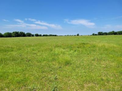 Coon Creek Road, Eufaula, Oklahoma 74432, Stati Uniti