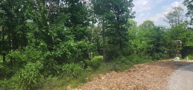 Lot 7 Restore Ridge, Harrison, Arkansas 72601, HOA KỲ
