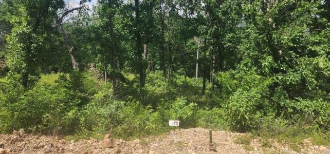 Lot 7 Restore Ridge, Harrison, Arkansas 72601, HOA KỲ