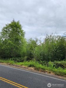 0 Henriot Road, Toledo, Washington 98591, Estados Unidos