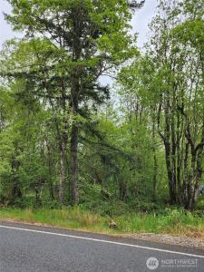 0 Henriot Road, Toledo, Washington 98591, Estados Unidos