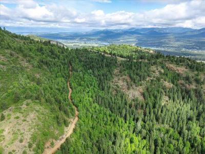 NKA Rocky Mountain Rd, Newport, Washington 99156, États-Unis