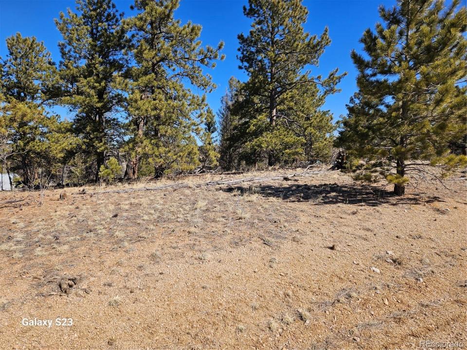 825 Frees Loop, Hartsel, Colorado 80449, Estados Unidos