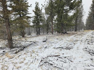 825 Frees Loop, Hartsel, Colorado 80449, Estados Unidos