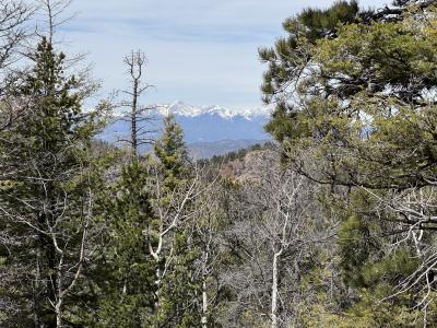 Trail Drive, Cotopaxi, 科罗拉多州 81223, 美国