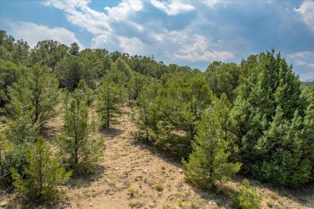 7925 Cozart Lane, Salida, Colorado 81201, Estados Unidos