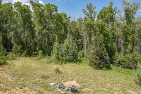 7925 Cozart Lane, Salida, Colorado 81201, Estados Unidos