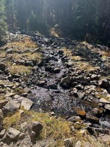 16667 Little Jesse Mc, Nathrop, Colorado 81236, USA