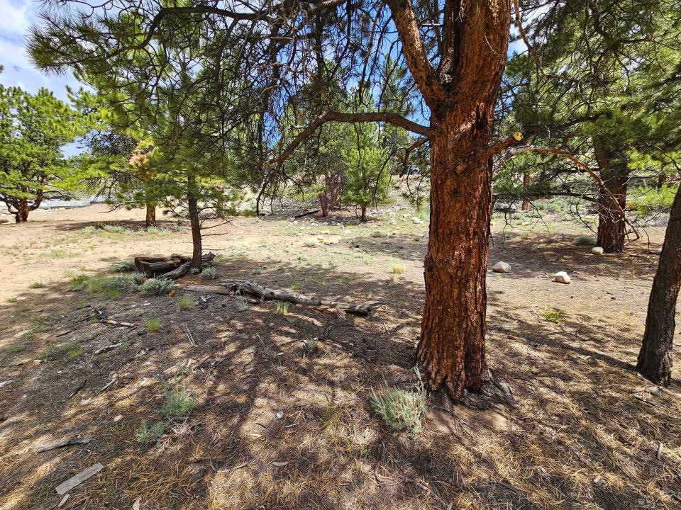 368 Parry Peak Drive, Twin Lakes, Colorado 81251, Amerika Birleşik Devletleri