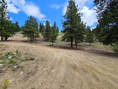 368 Parry Peak Drive, Twin Lakes, Colorado 81251, Amerika Birleşik Devletleri