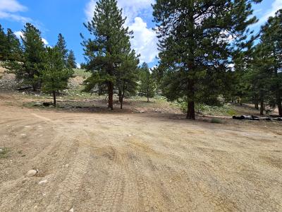 368 Parry Peak Drive, Twin Lakes, Colorado 81251, Amerika Birleşik Devletleri
