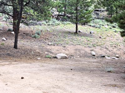 368 Parry Peak Drive, Twin Lakes, Colorado 81251, USA