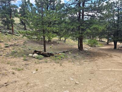 368 Parry Peak Drive, Twin Lakes, Colorado 81251, Amerika Birleşik Devletleri