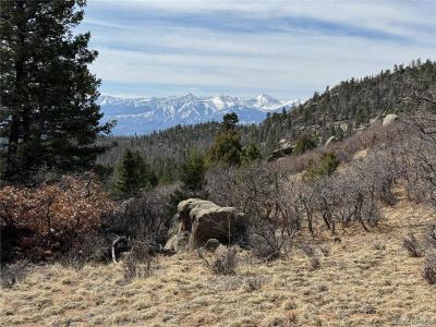 Basin Drive, Cotopaxi, Colorado 81223, Estados Unidos