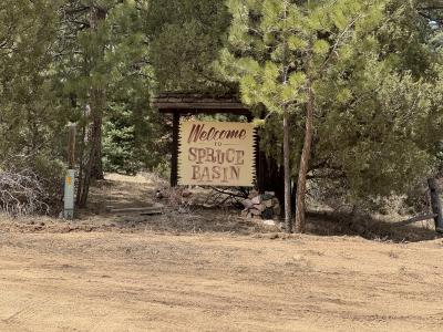 Basin Drive, Cotopaxi, Colorado 81223, Estados Unidos