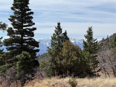 Basin Drive, Cotopaxi, Colorado 81223, États-Unis