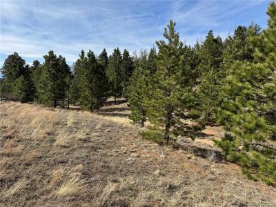 Basin Drive, Cotopaxi, Colorado 81223, États-Unis