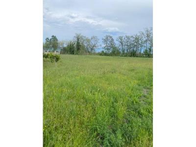 Periferia Lezhë, Lezhë, 阿爾巴尼亞