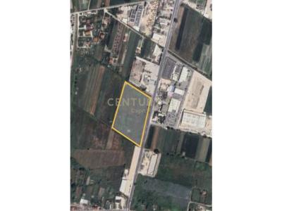 Fushë Prezë, Vorë, Albania