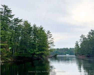 1494 LOST CHANNEL SHORE N/A, Georgian Bay, 安大略省 P0C 1M0, 加拿大