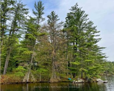 1494 LOST CHANNEL SHORE N/A, Georgian Bay, 安大略省 P0C 1M0, 加拿大