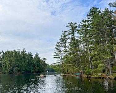 1494 LOST CHANNEL SHORE N/A, Georgian Bay, 安大略省 P0C 1M0, 加拿大