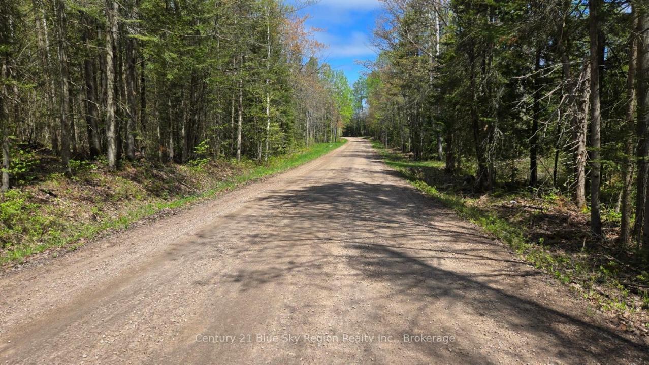 PT LT 10 CON 16 VILLAGE ROAD, Chisholm, Ontario P0H 1Z0, Canadá