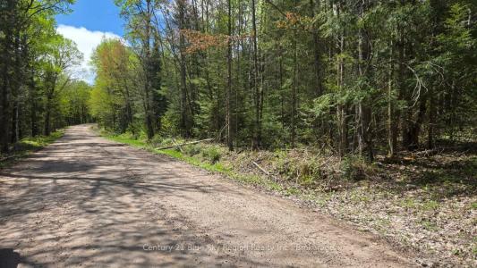 PT LT 10 CON 16 VILLAGE ROAD, Chisholm, Ontario P0H 1Z0, Canadá