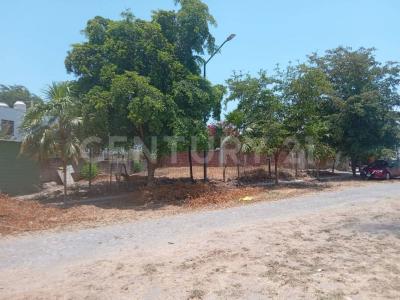 Profesor Manuel Díaz 481,, Colima, Colima 28079, Mexico