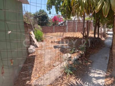 Profesor Manuel Díaz 481,, Colima, Colima 28079, Mexico