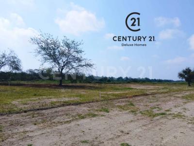 SERVIDUMBRE DE PASO s/n,, Ciudad Madero, Tamaulipas 89514, Messico
